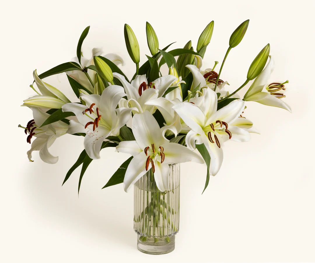Send Flowers